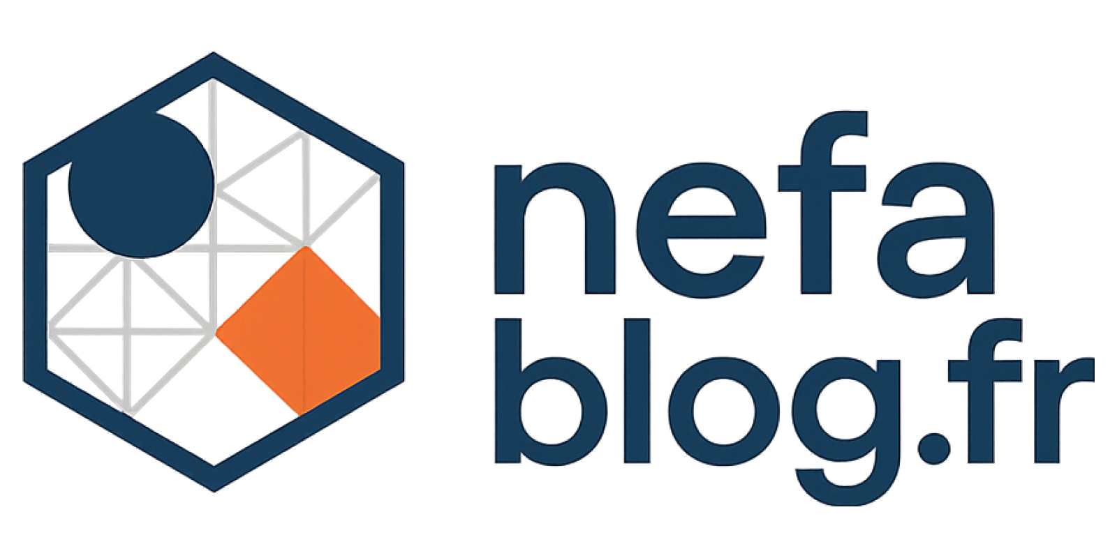 Nefa Blog